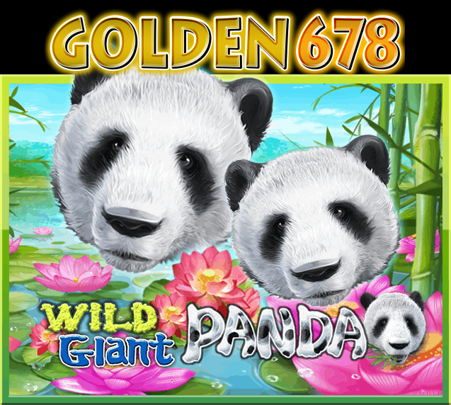 WILD GLANT PANDA